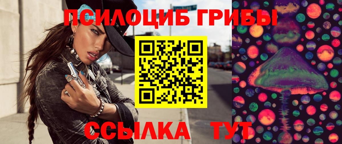 Галлюциногенные грибы Psilocybine cubensis  Галлюциногенные грибы мицелий  Вход с VPN  Бугуруслан 