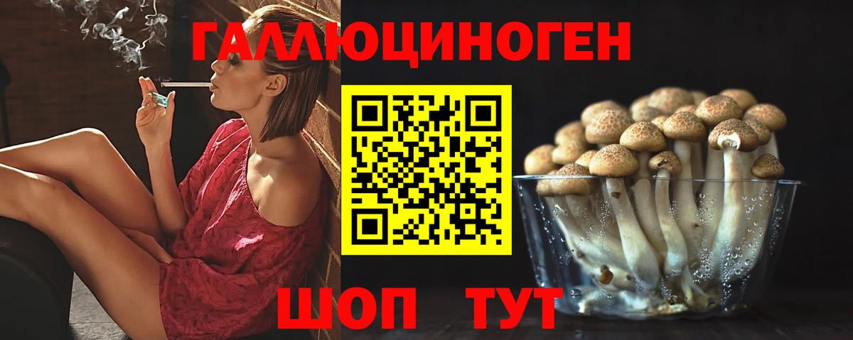Псилоцибиновые грибы Magic Shrooms Бугуруслан